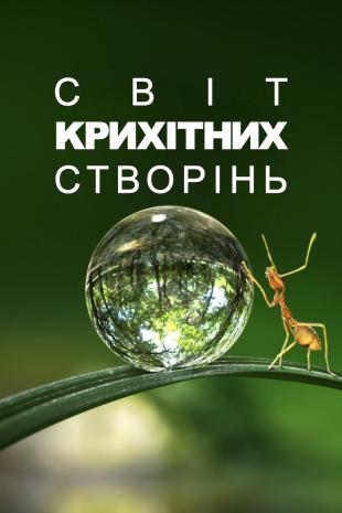 Крихітний світ 1 сезон